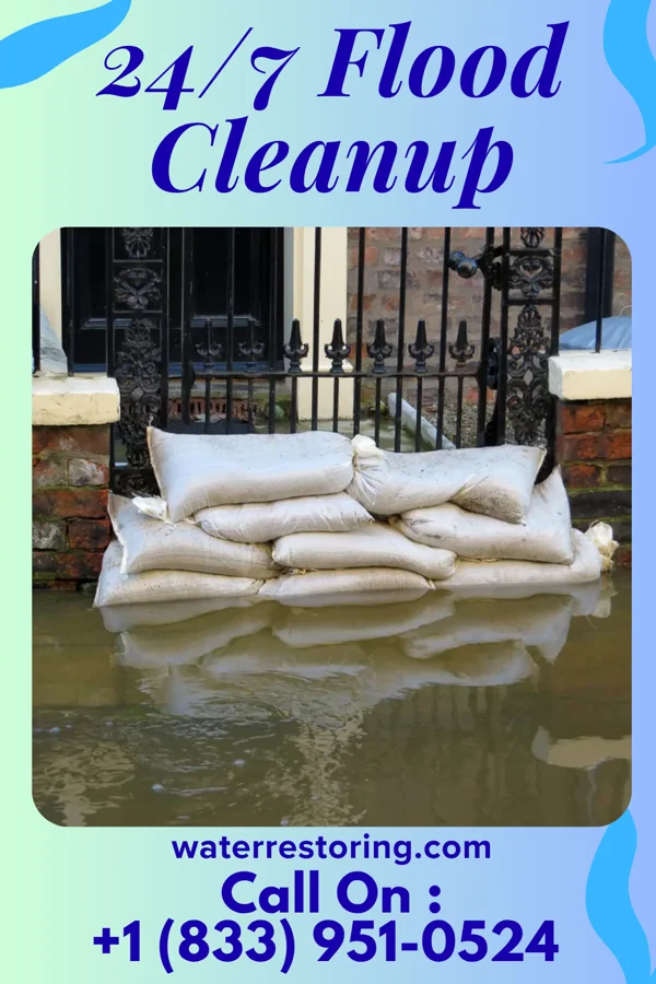 24/7 Flood Cleanup in Lake City, MN