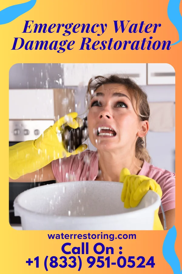 Emergency Water Damage Restoration in Lake City, MN