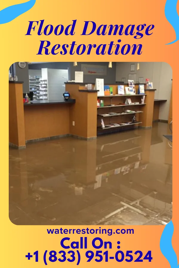 Flood Damage Restoration in Lake City, MN