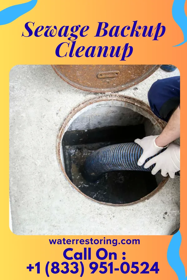 Sewage Backup Cleanup in Lake City, MN