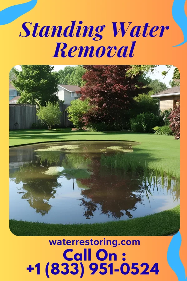 Standing Water Removal in Lake City, MN